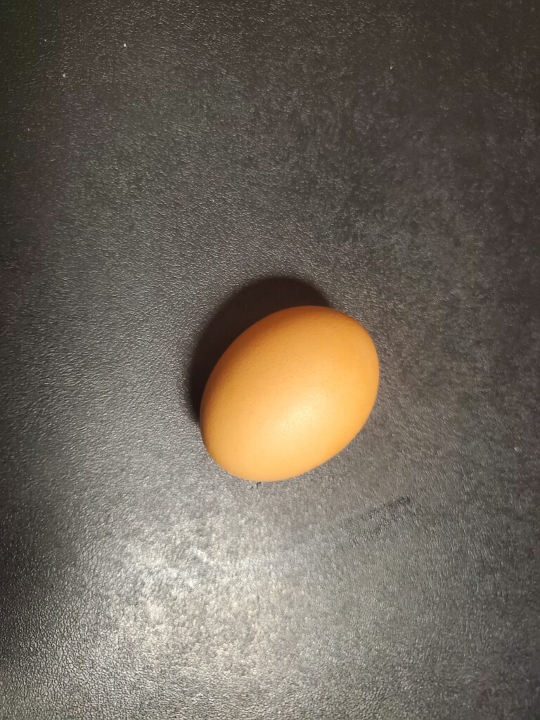 One forgotten egg