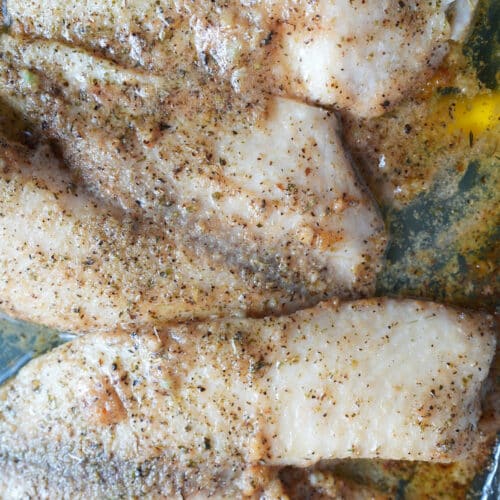 The Shot out of the oven of the fish